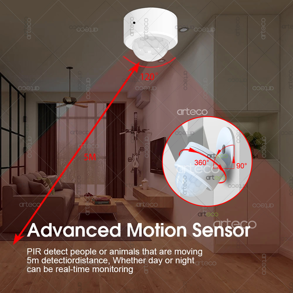 Ewelink Zigbee PIR Motion Sens - Home Security Alexa ulasan dan harga
