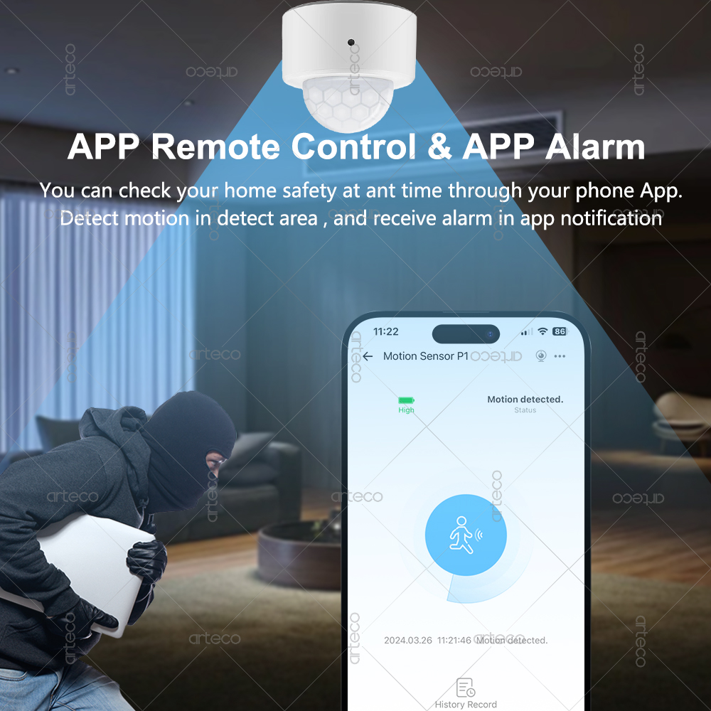 Ewelink Zigbee PIR Motion Sens - Home Security Alexa ulasan dan harga