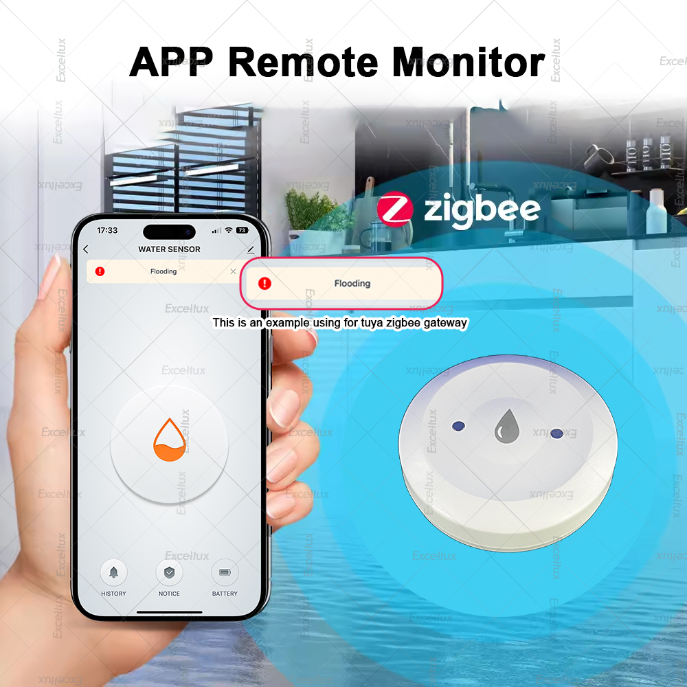 Zigbee Water Detector Leakage  - Home Security Alexa ulasan dan harga