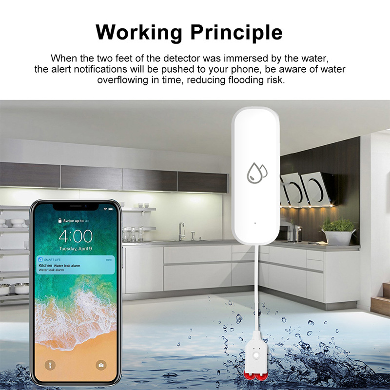 Tuya WiFi Water Leakage Alarm  - Home Security Alexa ulasan dan harga
